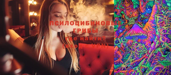 дурь Белокуриха